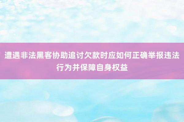 遭遇非法黑客协助追讨欠款时应如何正确举报违法行为并保障自身权益