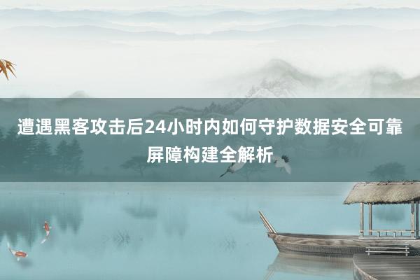 遭遇黑客攻击后24小时内如何守护数据安全可靠屏障构建全解析