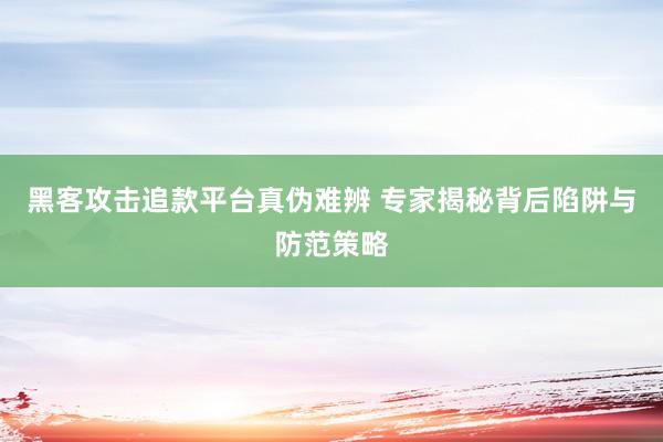 黑客攻击追款平台真伪难辨 专家揭秘背后陷阱与防范策略